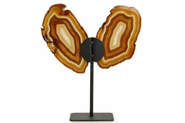 Agate Butterfly Wings - Brazil #322215